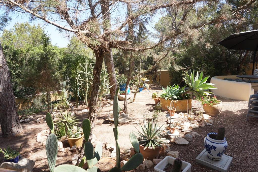 Casa la Paloma photo 2