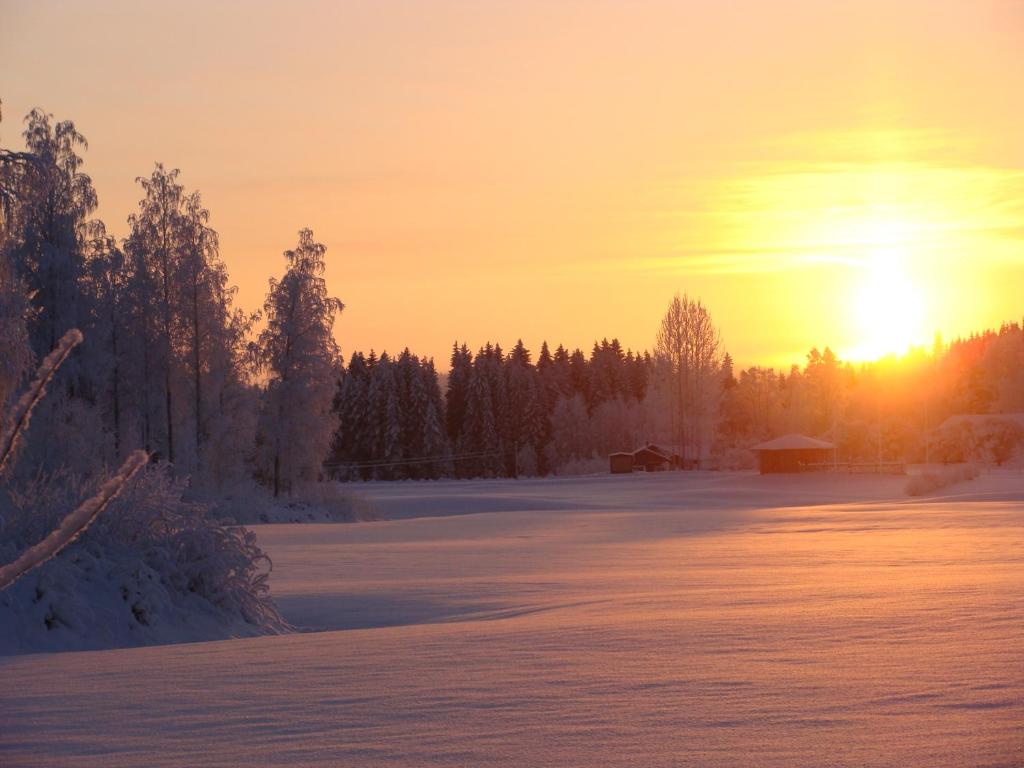 Villa Tiirinkallio photo 3