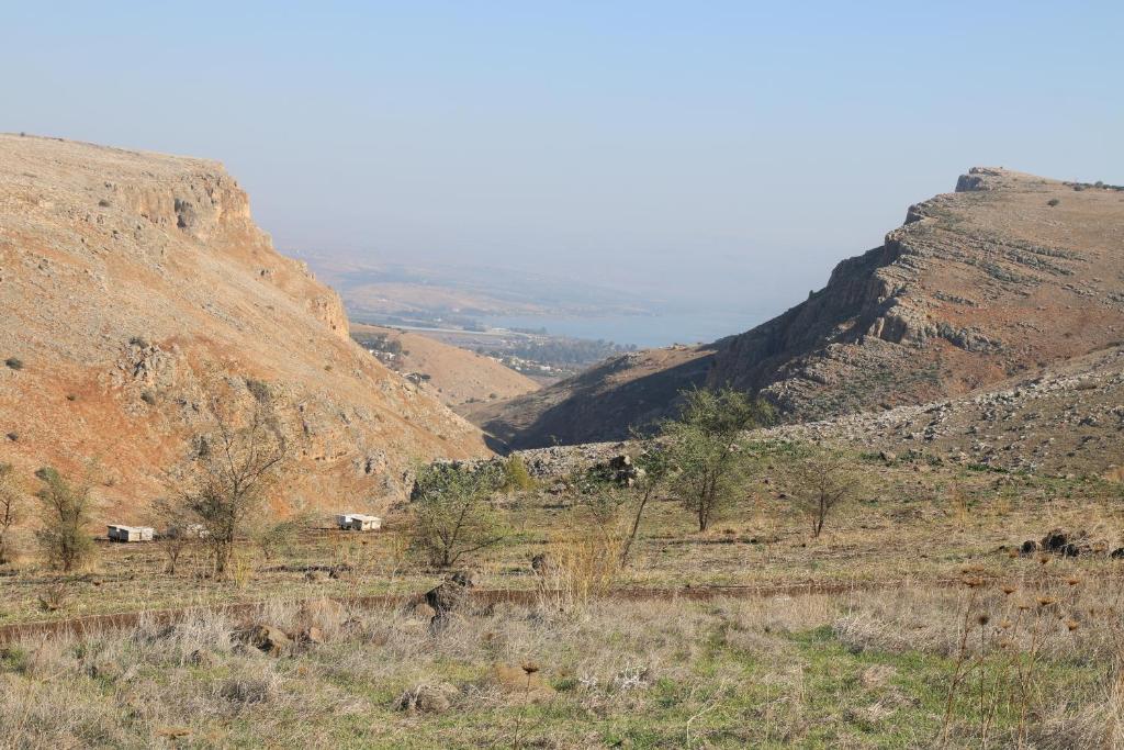 Switzerland In The Arbel photo 4