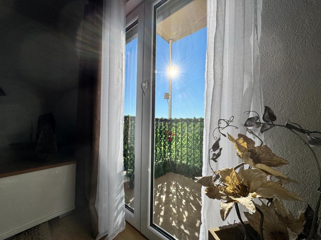 Apartman Alpeza photo 3