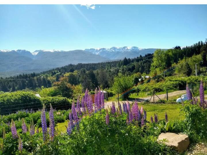 Una Morada en la Montaña photo 2