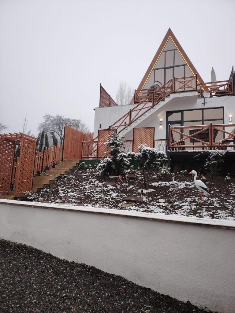 40 steps Aframe House photo 3