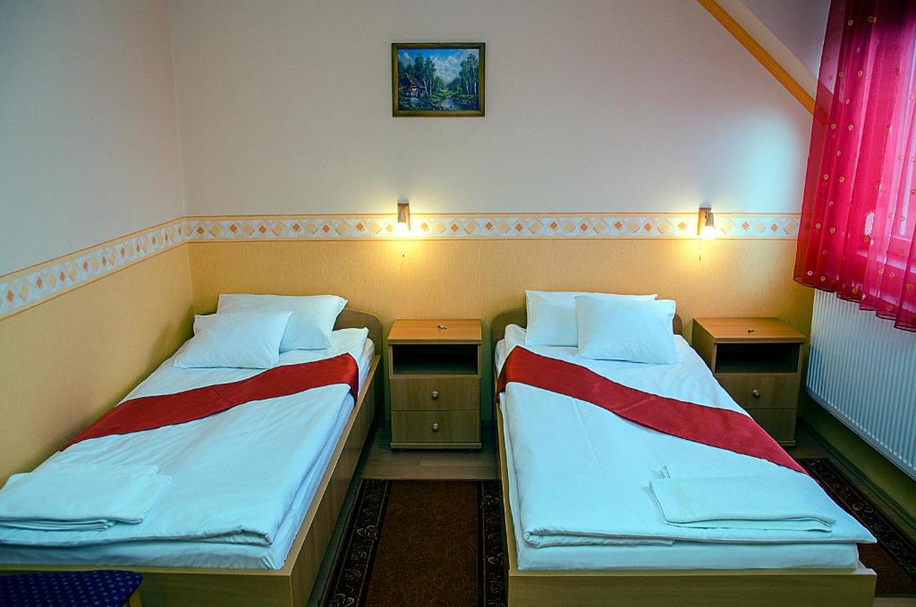 Двухместный (Двухместный номер с 2 отдельными кроватями), Arany Patkó Hotel & Étterem