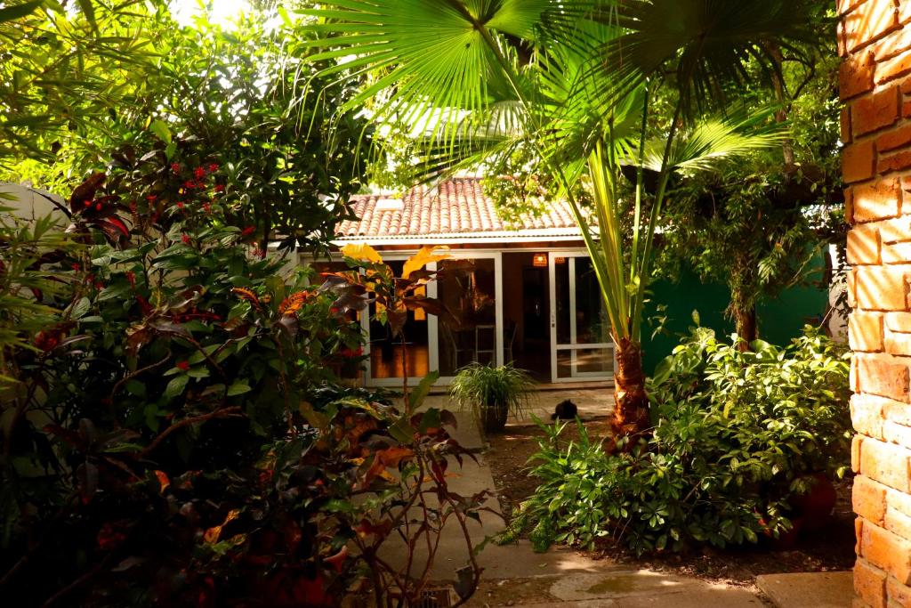 Hostel Teyuí photo 1
