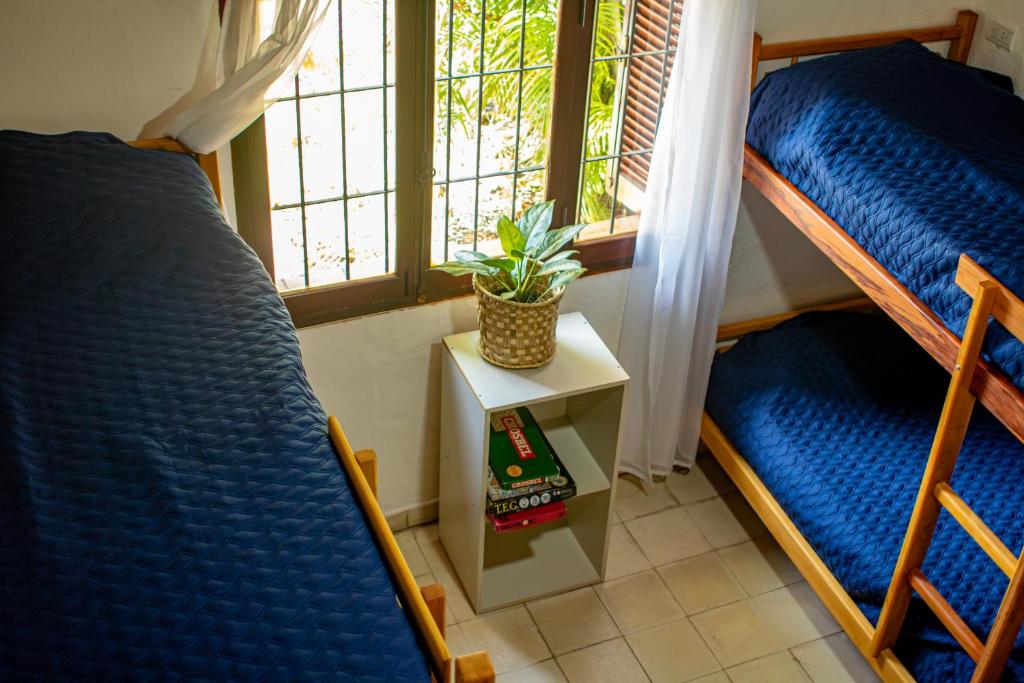 Hostel Teyuí photo 4