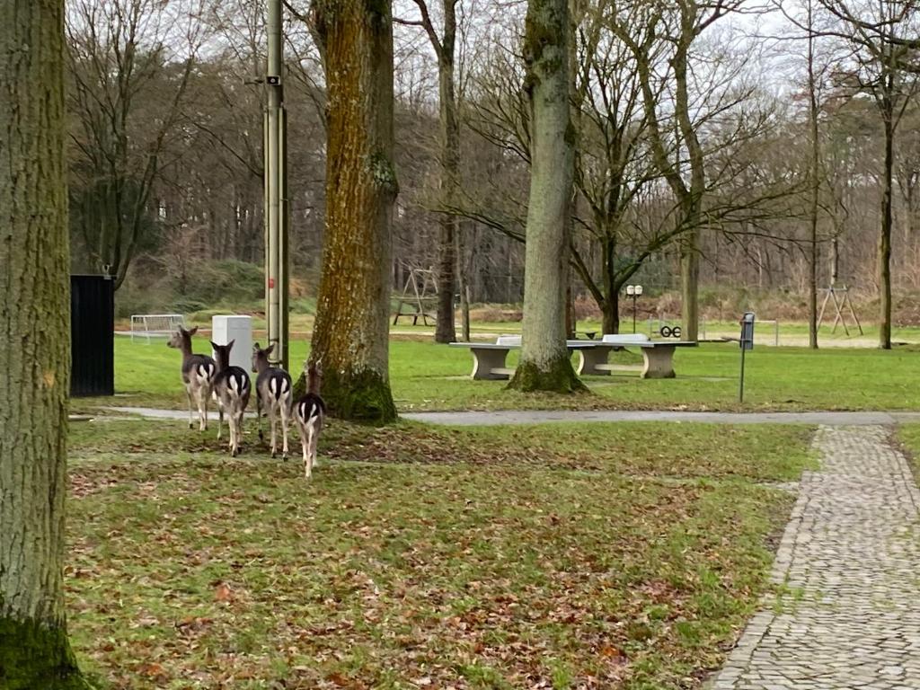 Hengelhoef Ceder 106 photo 1