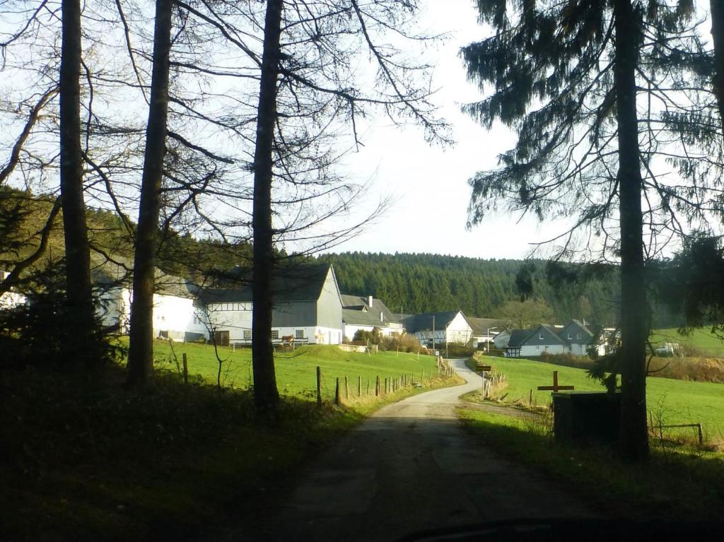 Waldhotel Einstein photo 2