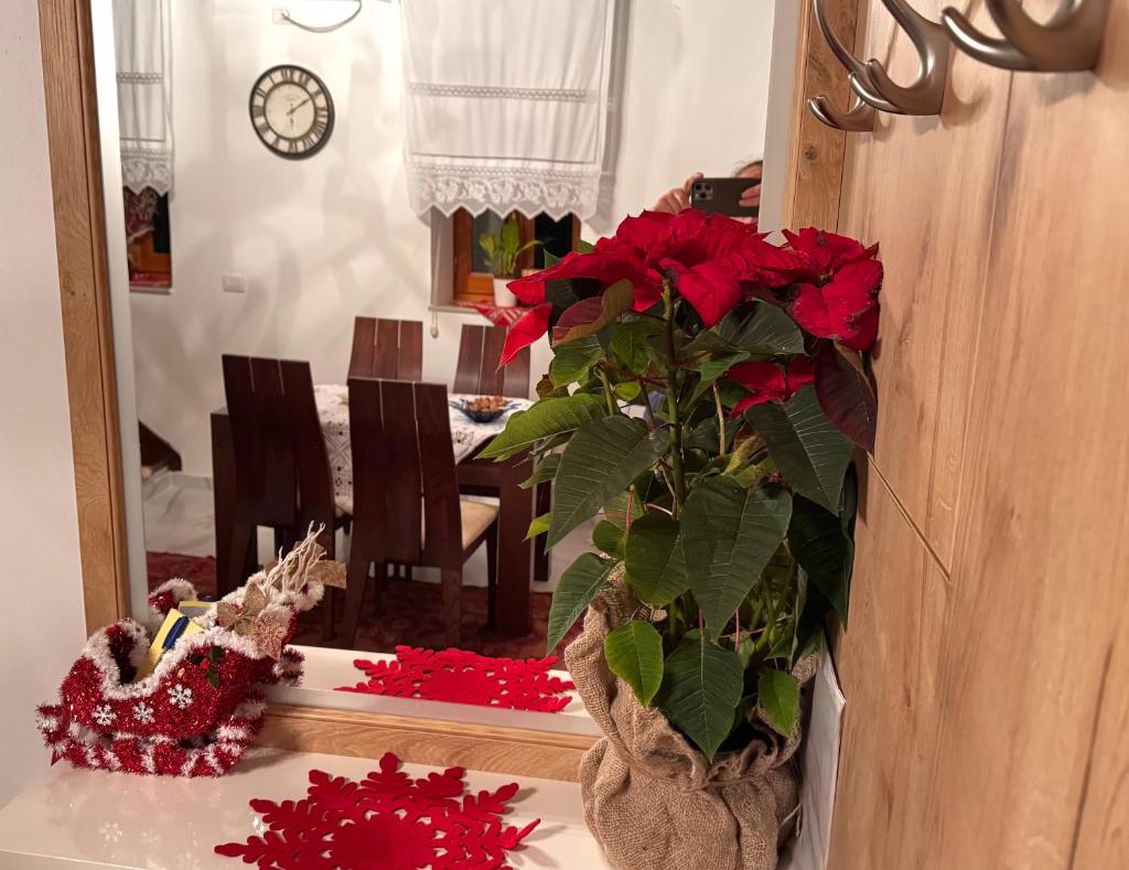 Mezini Guest House photo 3
