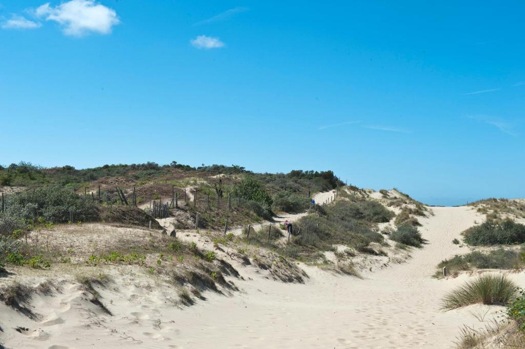 Evancy Etoile des Dunes - Tap to explore photos