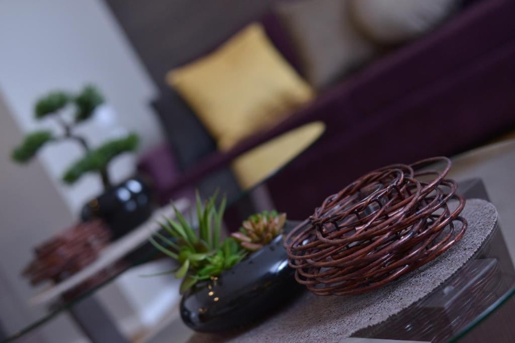 Сьюит (Суперлюкс), Boutique Rooms