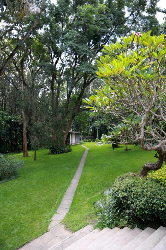 Equator Hotel photo 4