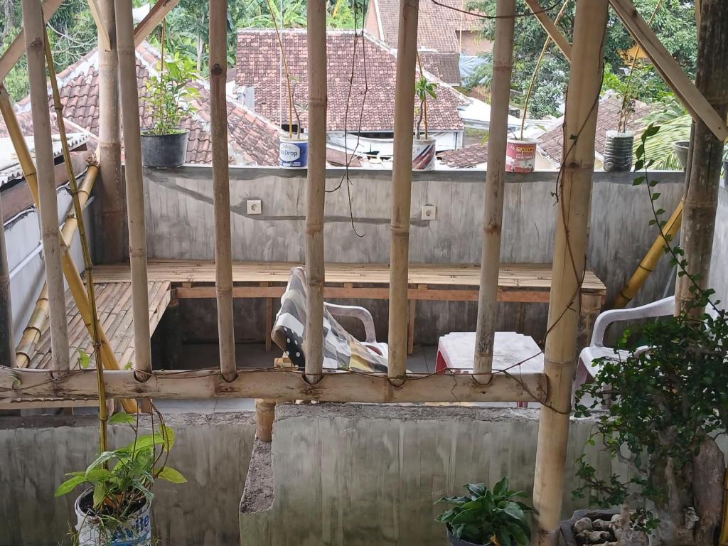 Javalindra Homestay Tour and Travel photo 4