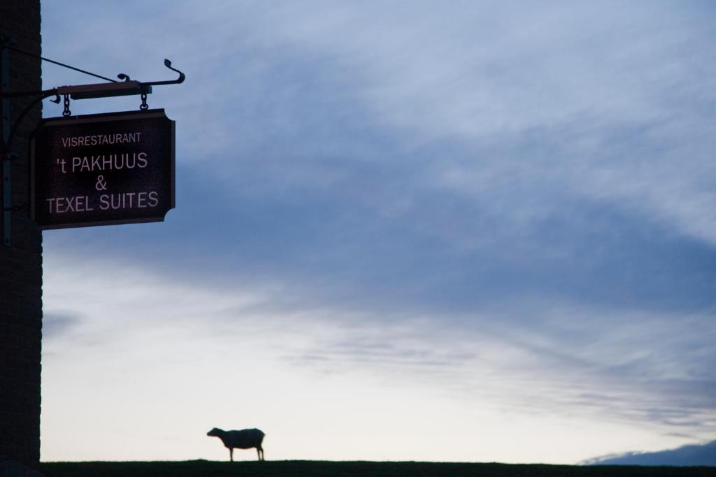 Texel Suites photo 1
