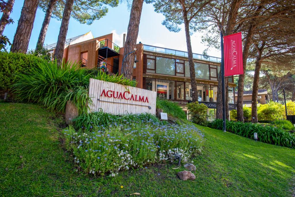 Aguacalma by CELTIS