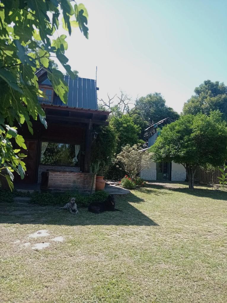 Madre Selva photo 2