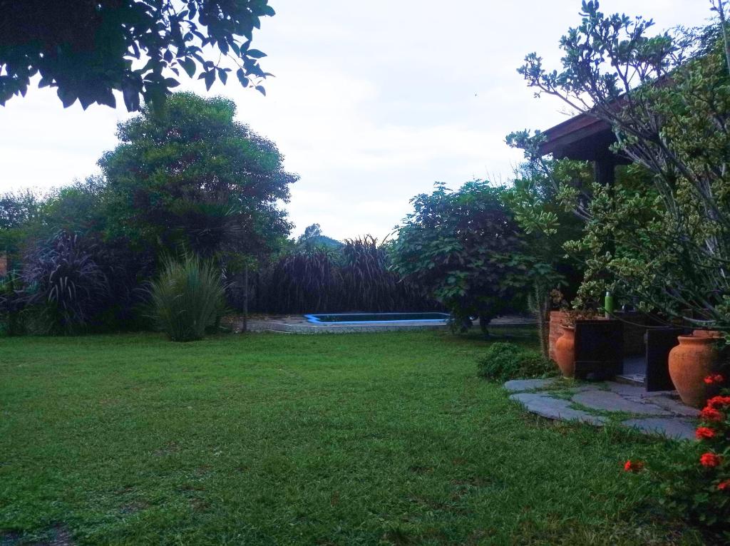 Madre Selva photo 3