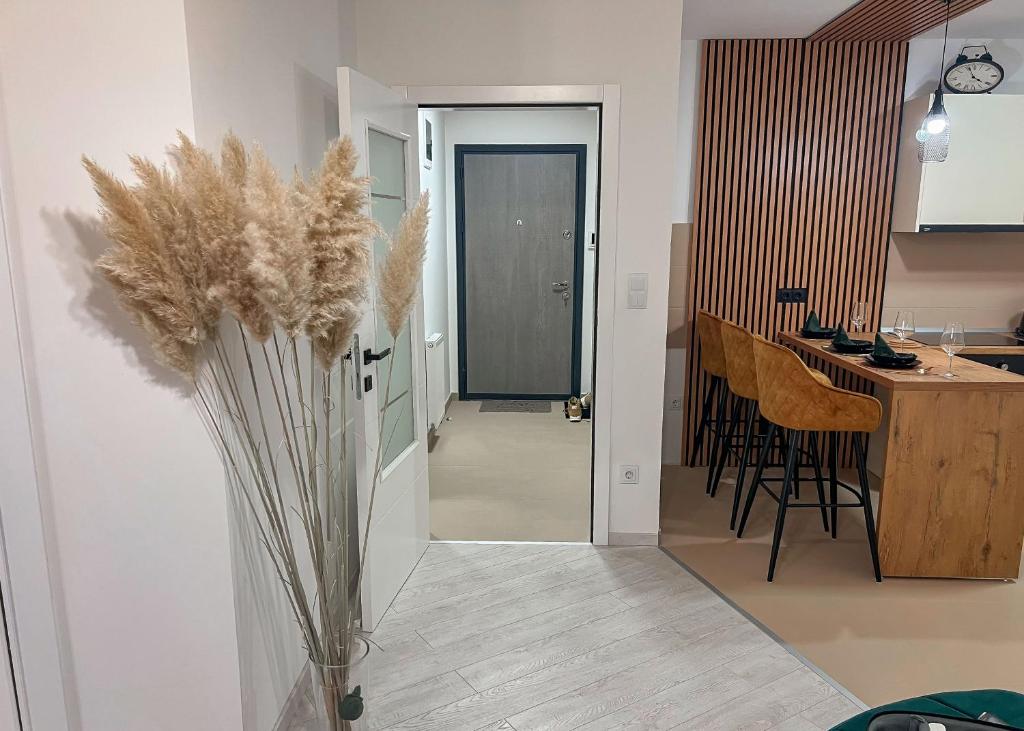 Apartman Royal 1 photo 4