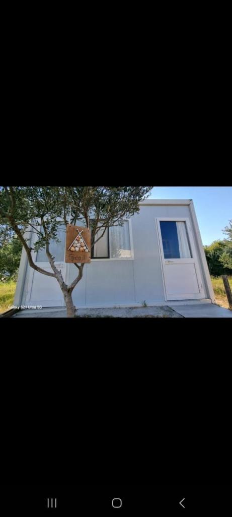 Guesthouse Kune - Vaini