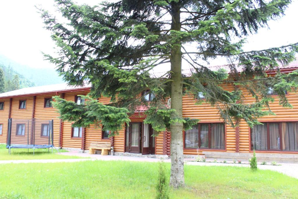 Sokolyne gnizdo photo 4