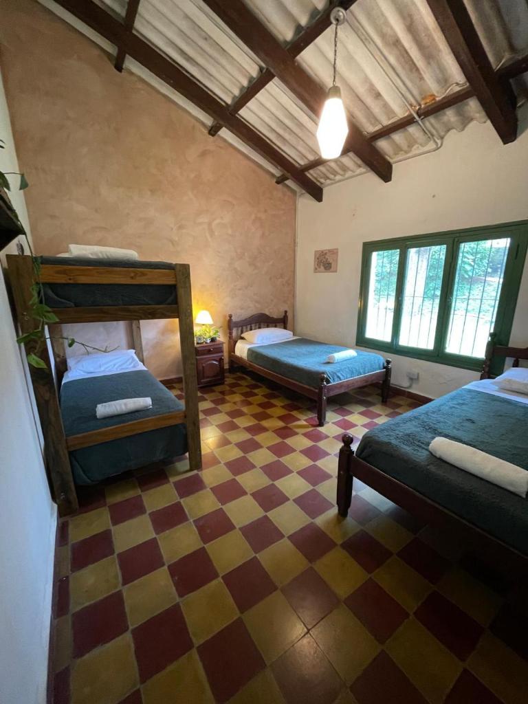 Madreselva photo 1