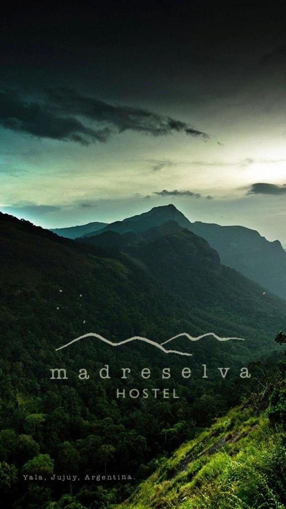 Madreselva