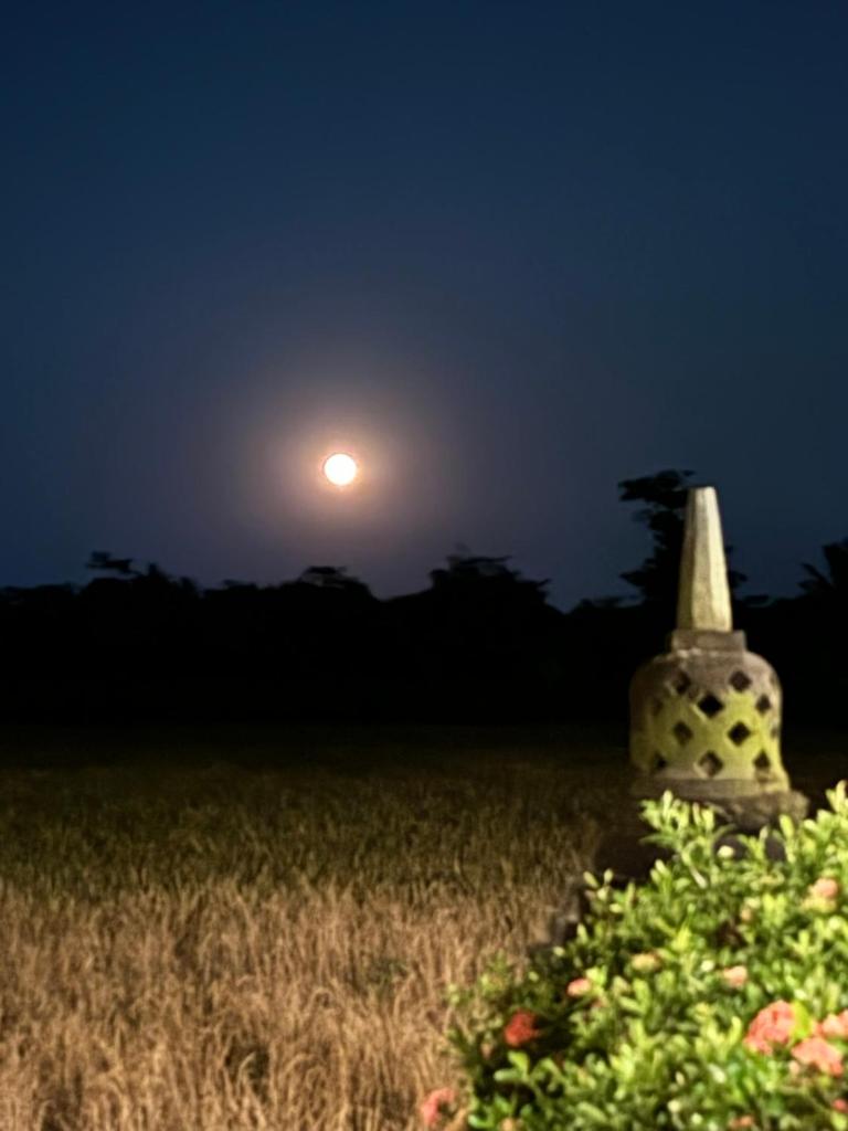 Rumah Dharma photo 2