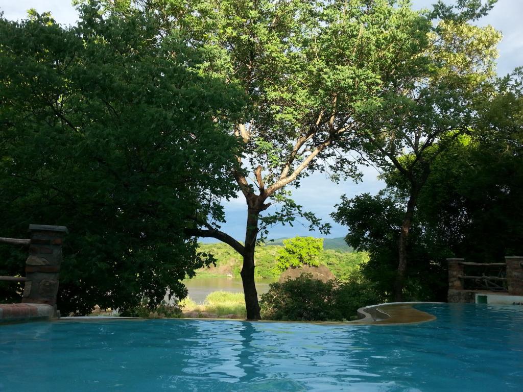 Ng'ona Lodge photo 2