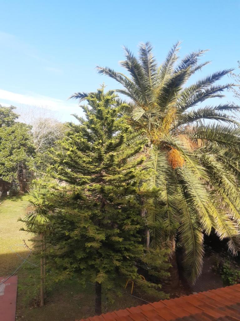 Hostel Lilia, Ezeiza airport, Hospital Bicentenario Monte Grande photo 2