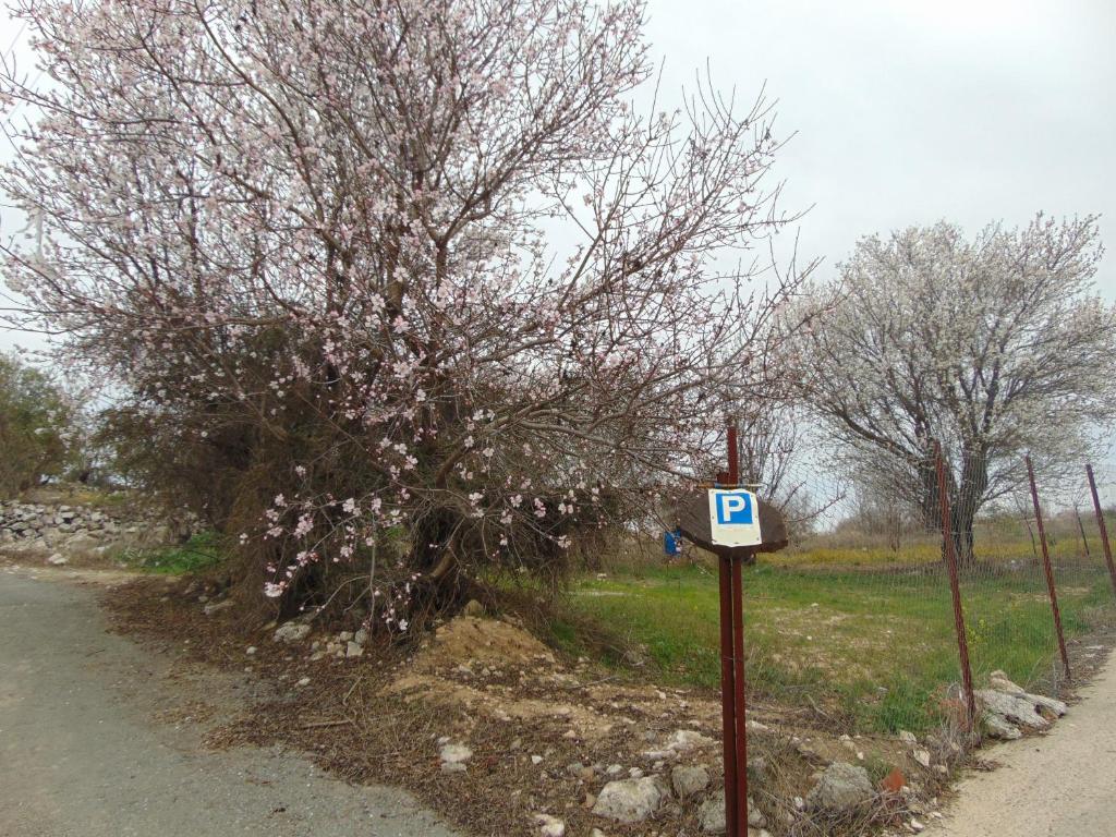 Walnut Grove photo 1