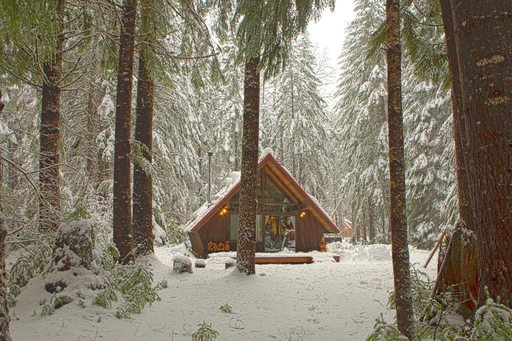 Four Stone Lodge photo 3