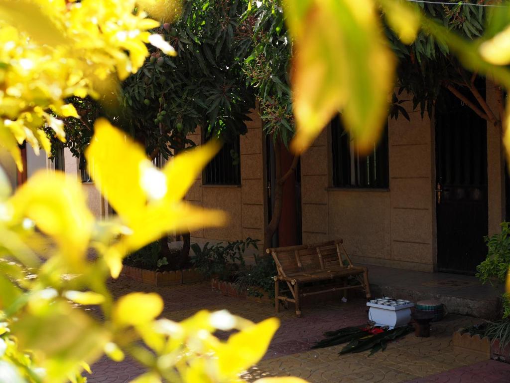 Manuhie Backpackers Lodge photo 2