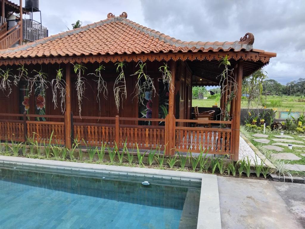 Lotus cottage photo 4