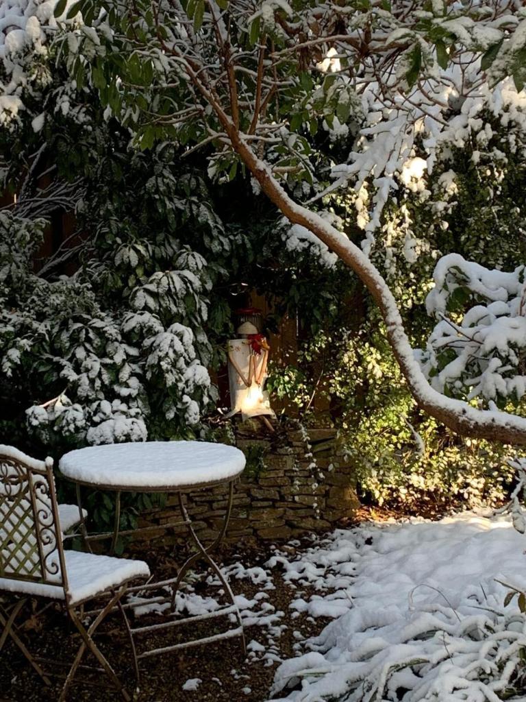 Maisie's Cottage photo 4