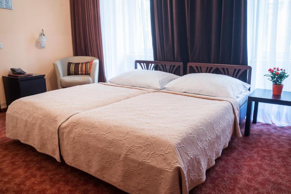 Двухместный (Классический двухместный номер с 1 кроватью), Hotel Bajazzo