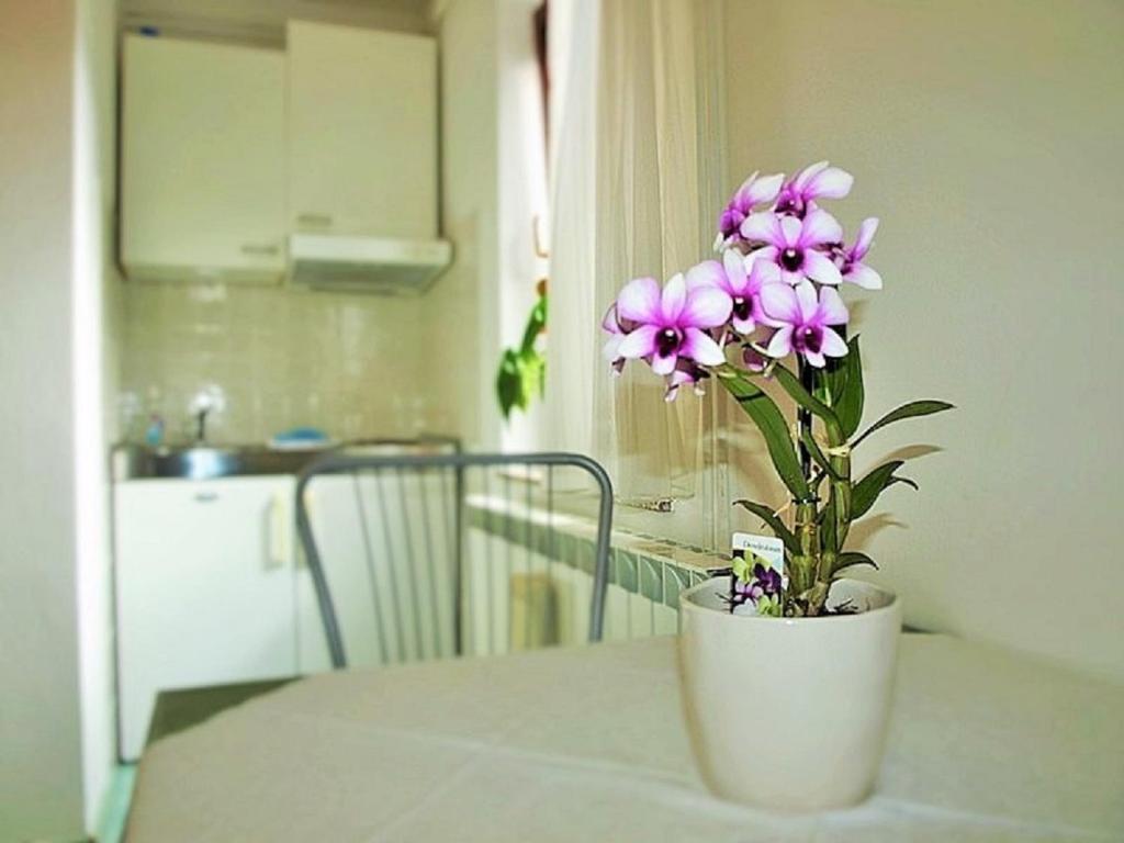 Apartment Koric photo 3