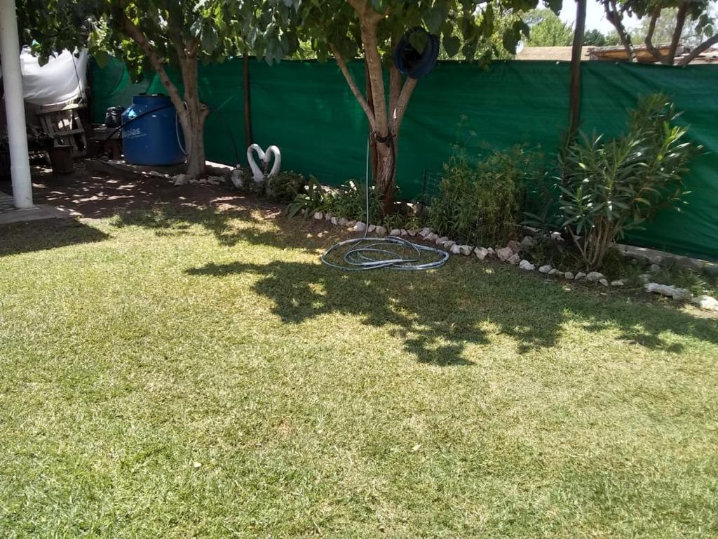 Las Moras photo 4