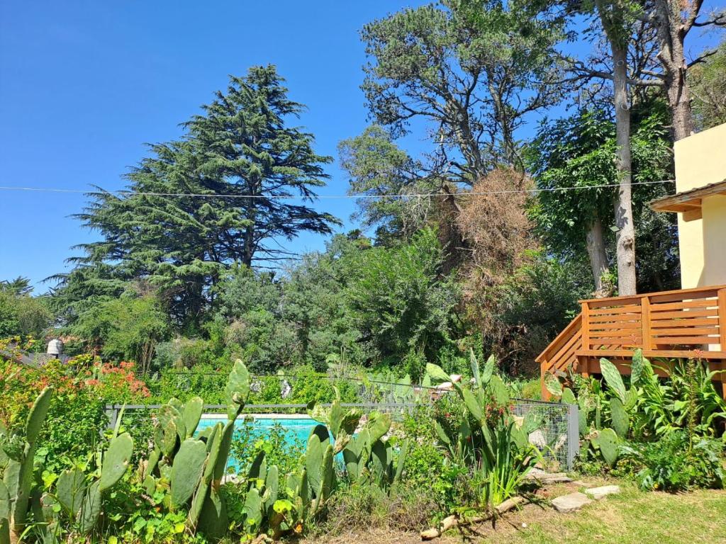 Sierra Bonita - Viví en Armonía photo 3