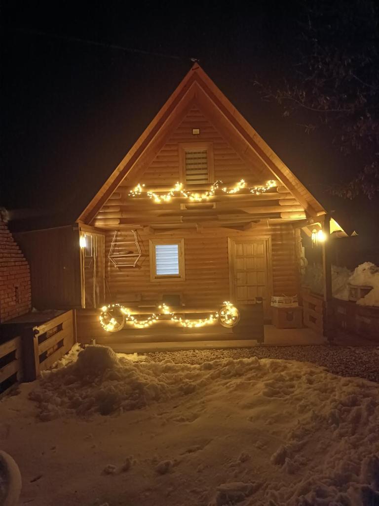 Zelena čarolija photo 2