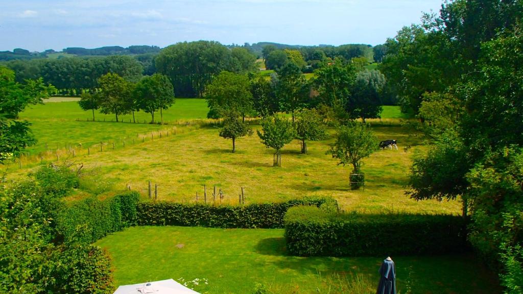Vakantiehuis De Rekelberg photo 4