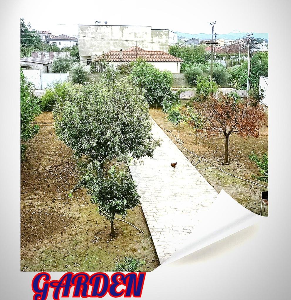 Villas Elena for Rent best view photo 4