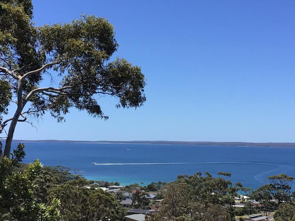 Hawkesview photo 1