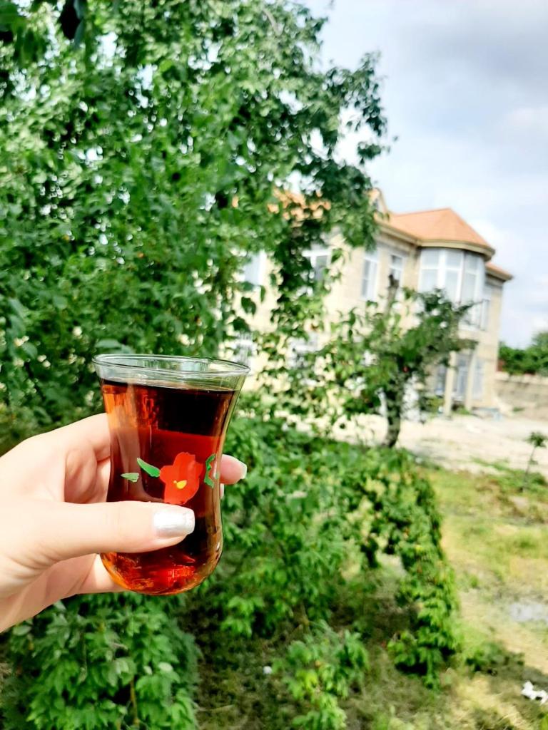 Samira's house Gusar photo 4