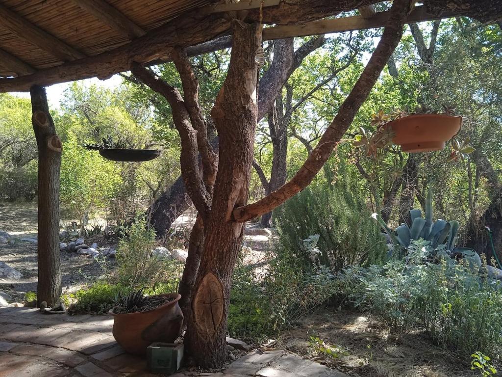 Casa Bosque photo 2