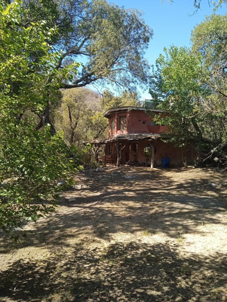 Casa Bosque photo 4