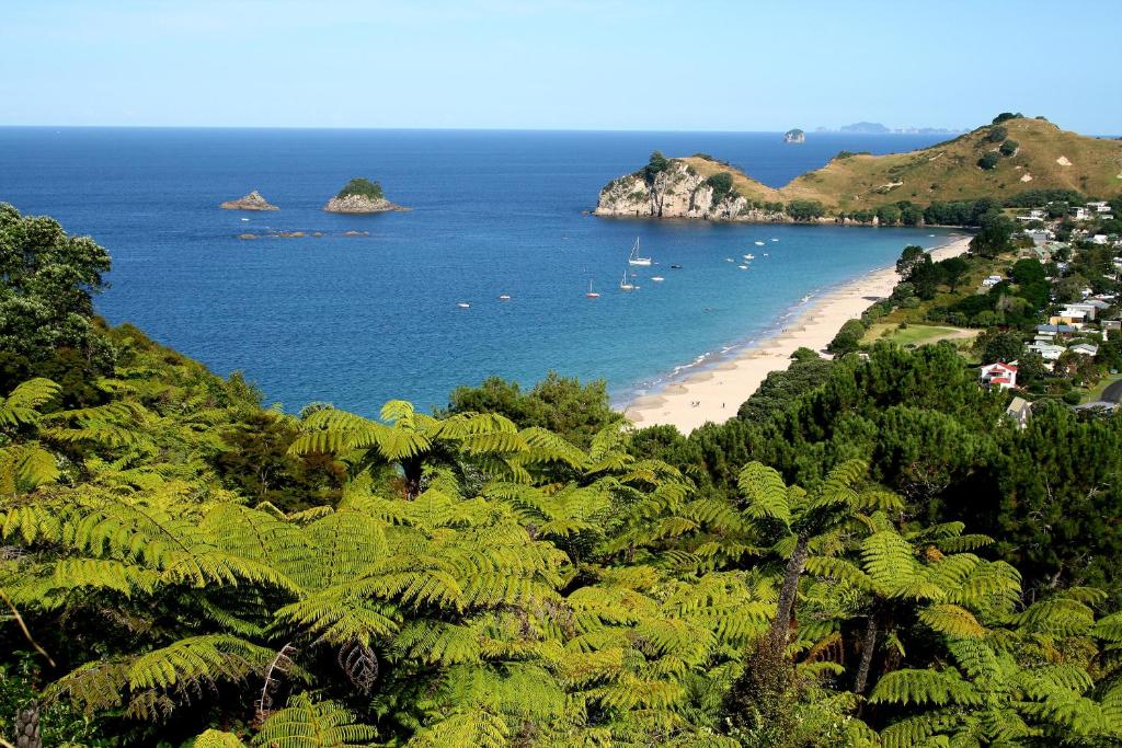 Hahei Beach Escape photo 2