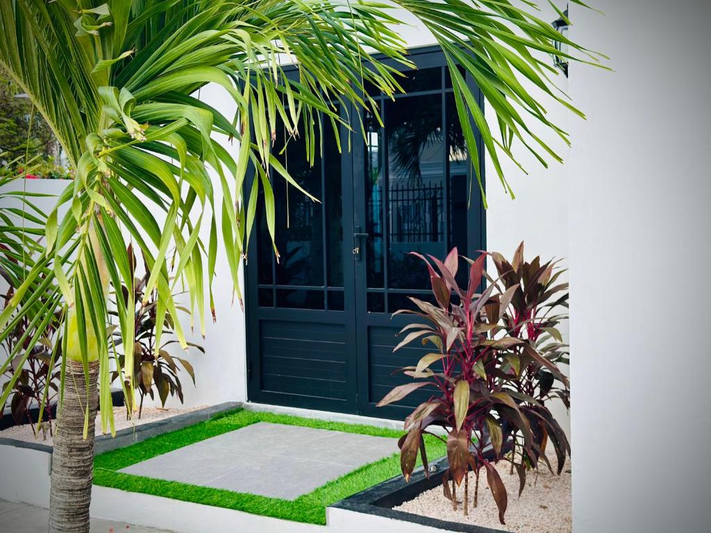 Eagle Stays Aruba-NEW Stunning One Bedroom Apartment Near Eagle Beach! photo 3