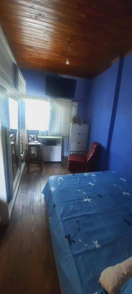La Casita de Máximo photo 4