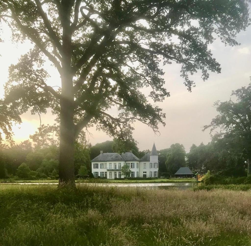 B&B Kasteel Den Tip photo 1