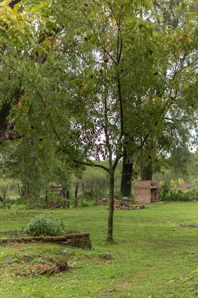 Villa Pancha photo 2