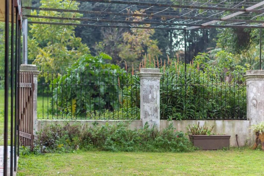 Villa Pancha photo 3